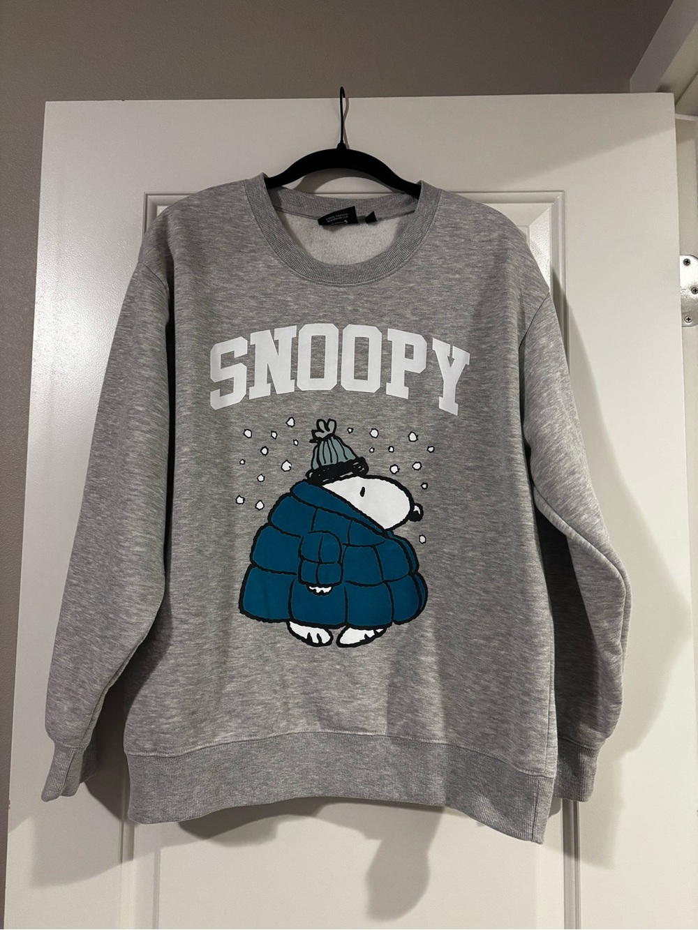 Peanuts Snoopy Crewneck Sweater - Gray/Teal